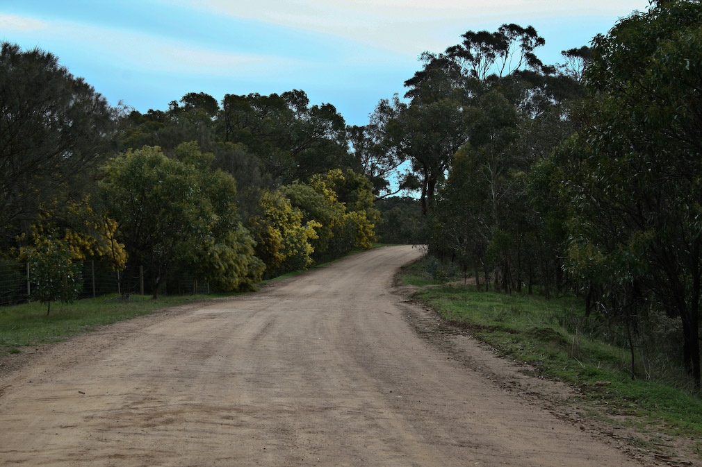 Ride Near the Barossa Gold Fields | Adventure Rider