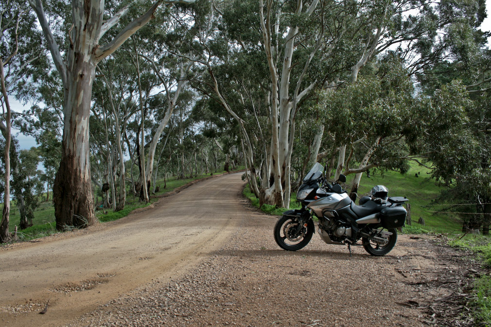 Ride Near the Barossa Gold Fields | Adventure Rider