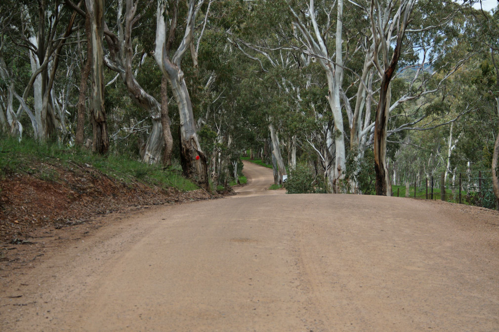 Ride Near the Barossa Gold Fields | Adventure Rider