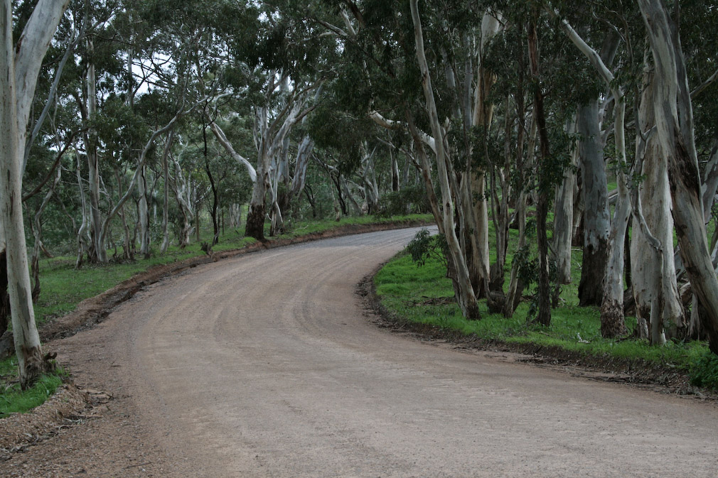 Ride Near the Barossa Gold Fields | Adventure Rider